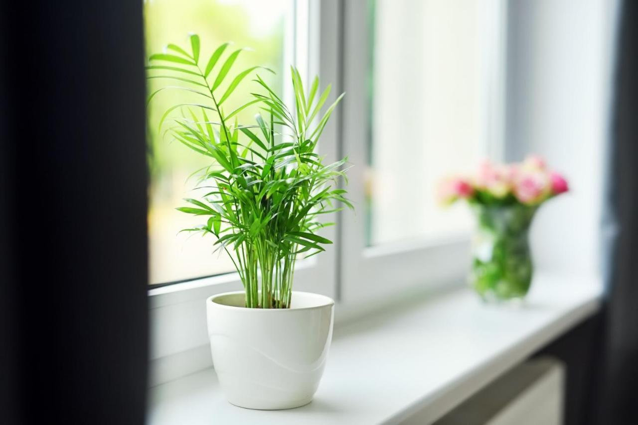 Apartment Lotnisko Leszno *